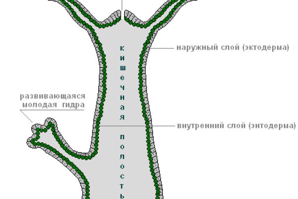 Kraken ссылка зеркало krakentor site
